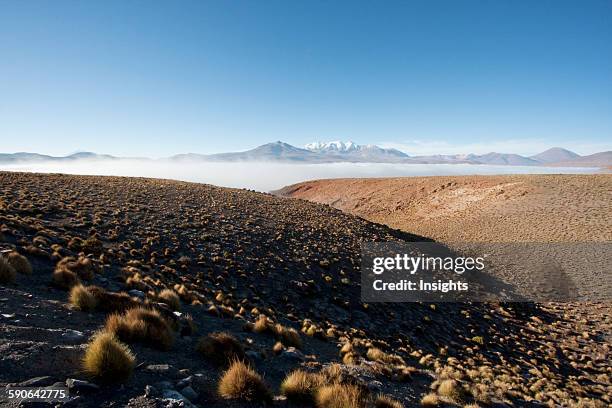 Alconcha Photos and Premium High Res Pictures Getty Images