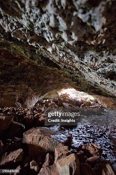 Te Rapa Photos and Premium High Res Pictures - Getty Images