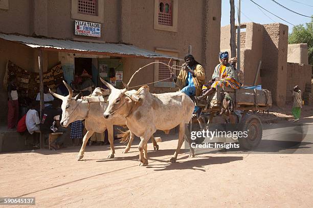 Ox cart, Monday Market, Djenne, Mali.