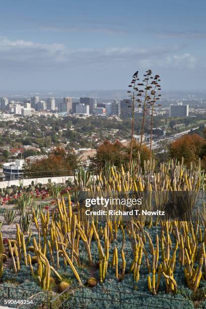 getty museum - j paul getty museum stock pictures, royalty-free photos & images