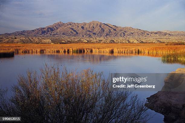 Arizona, Lake Havasu City, Colorado River, Chemehuevi Mountains, Havasu National Wildlife Refuge.