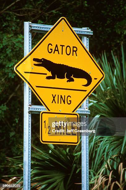 Alligator Point Sign Alligator Island Photos and Premium High Res Pictures - Getty Images