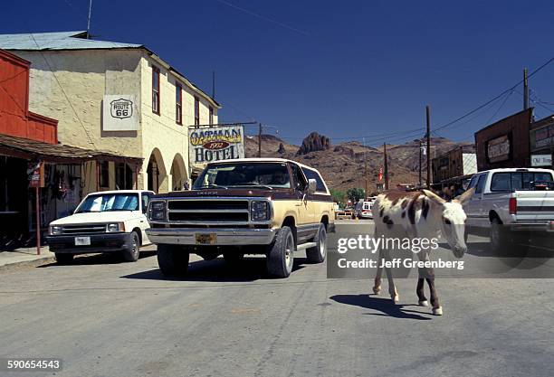 Arizona, Oatman, Historic Route 55, Main Street Of Mining Town With Burro.