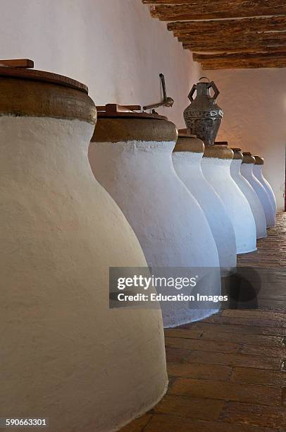 Baena, Olive oil Cellar, Nunez de Prado, Route of the Caliphate, Cordoba province, Andalusia, Spain.