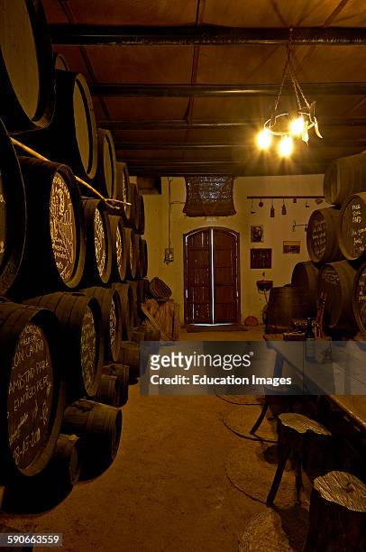 Montilla, Bodegas Cabriñana, Cabriñana Wine Cellar, Montilla-Moriles Wine Route, Cordoba, Andalusia, Spain.
