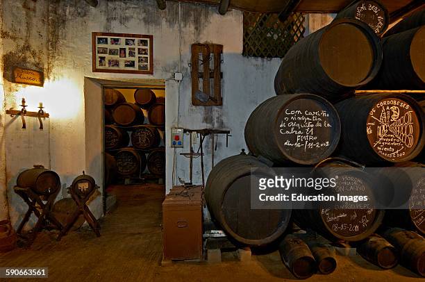 Montilla, Bodegas Cabriñana, Cabriñana Wine Cellar, Montilla-Moriles Wine Route, Cordoba, Andalusia, Spain.