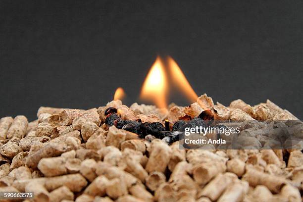 Wood pellets. Wood pellets are a type of wood fuel, generally made from compacted sawdust. They are produced as a byproduct of sawmilling and other...