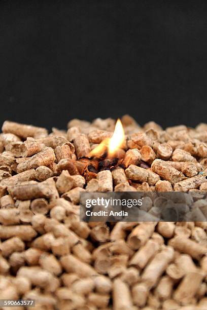 Wood pellets. Wood pellets are a type of wood fuel, generally made from compacted sawdust. They are produced as a byproduct of sawmilling and other...