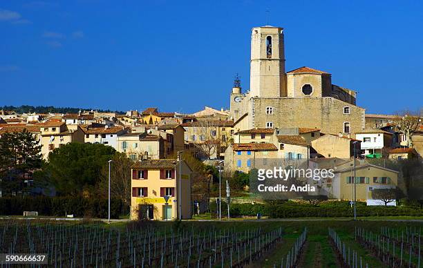 The village of Lorgues in Provence , traditional housing of Provence