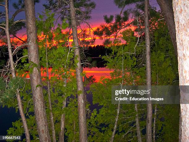 Ontario, Quetico Park, Lake Agnes Sunset wilderness, through trees.