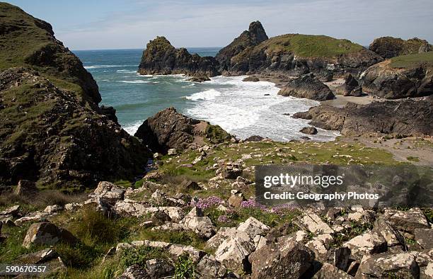 Coastal scenery near Kynance Cove, Lizard Peninsula, Cornwall, England, UK.