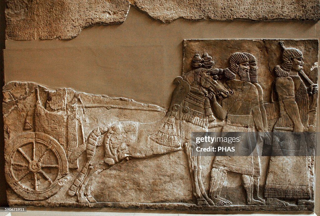 Palace of Tiglath-pileser III.