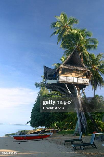 Polynesia : unusual housing in Moorea, News Photo