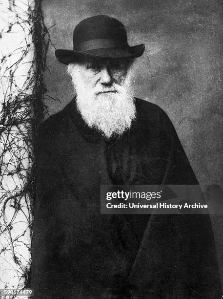 Photographic portrait of Charles Darwin English naturalist and geologist. Photographed by Julia Margaret Cameron British photographer. Dated 1870.