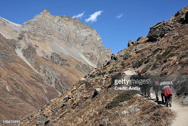 Nepal, hikers on a hiking trail in the mountain between Manang and the Thorong La Pass, October 2009