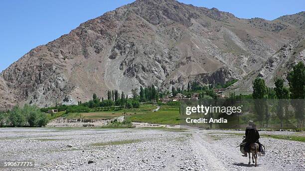 Zidon 216 Zidon Stock Photos, High-Res Pictures, and Images - Getty Images
