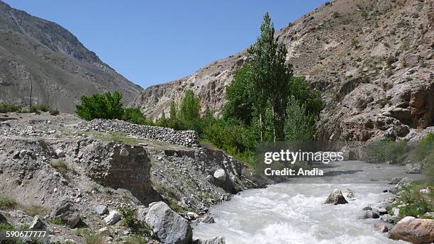 Zidon 216 Zidon Stock Photos, High-Res Pictures, and Images - Getty Images