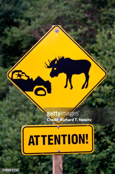 moose crossing sign - animal crossing sign stockfoto's en -beelden