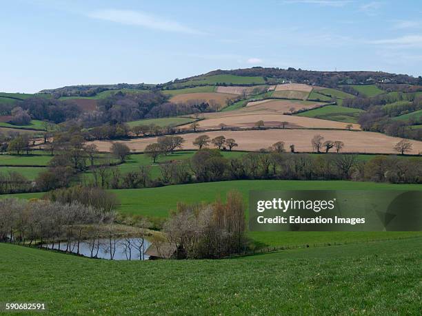 Dorset countryside, Chideock, Dorset, UK.