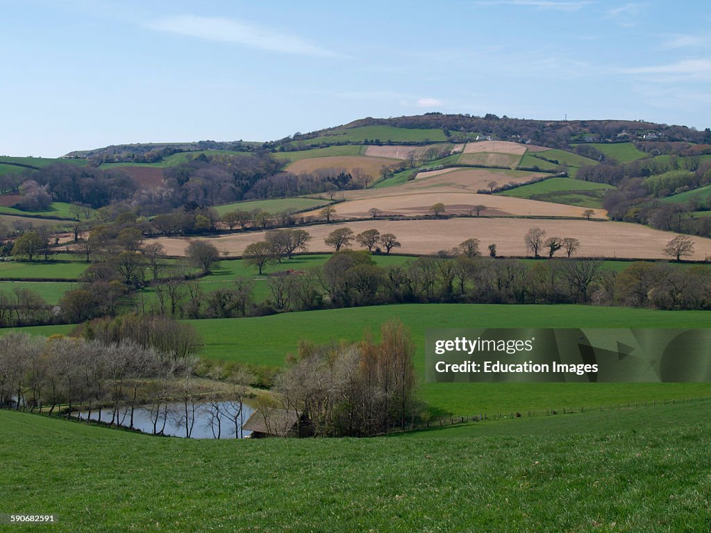 Dorset countryside, Chideock, Dorset