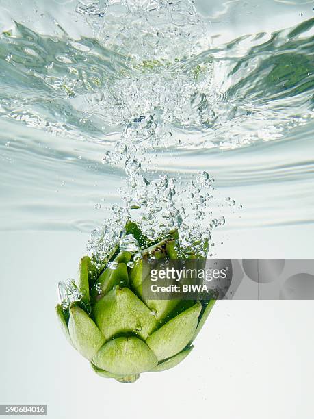 artichoke in water - artichoke stock pictures, royalty-free photos & images