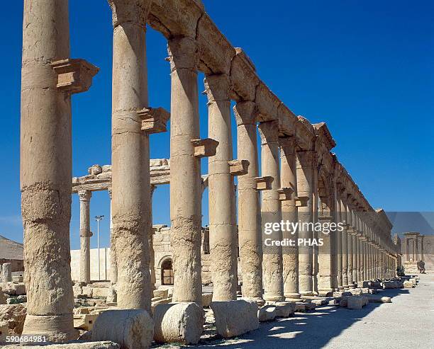 Syria, Ruins of Palmyra, Middle East. Colonnade. 3rd century AD. Oasis Tadmor.