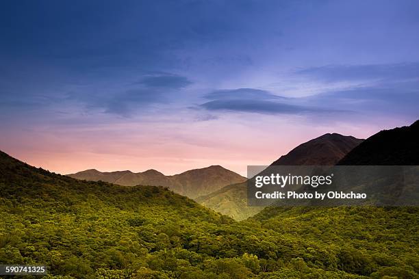 mountain in hong kong - lantau imagens e fotografias de stock