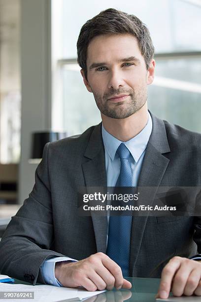 lawyer, portrait - lawyers serious stock pictures, royalty-free photos & images