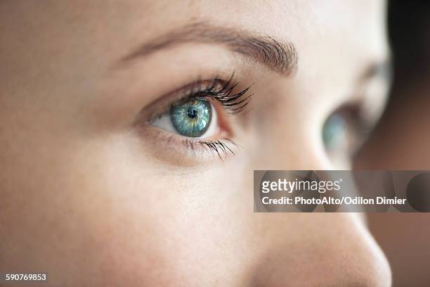 close-up of womans eye - blue eye stockfoto's en -beelden