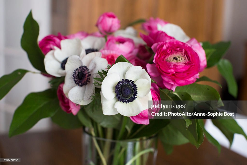 Anemone and ranunculus flowers in vase