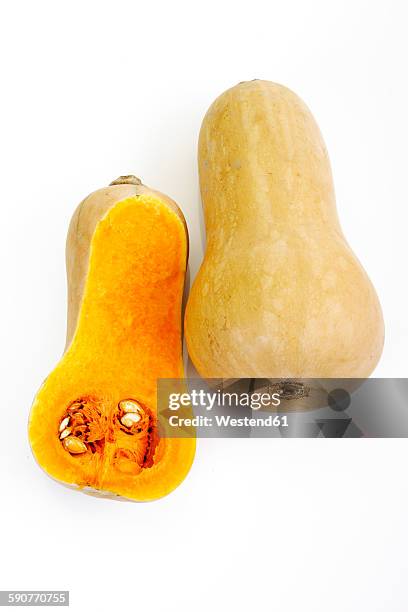 whole and a half of butternut squash in front of white background - butternut squash stock pictures, royalty-free photos & images