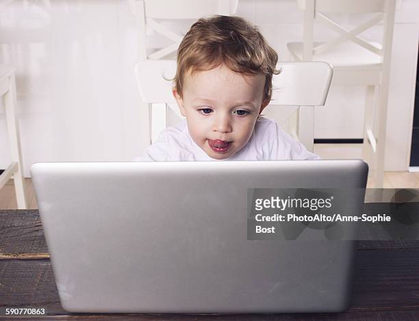 little boy using laptop computer - easy load stock pictures, royalty-free photos & images