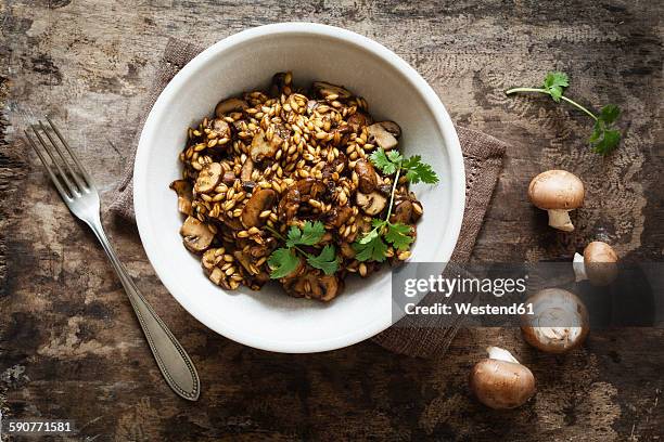 barley risotto with champignon and coriander - risotto stock pictures, royalty-free photos & images