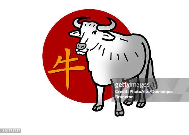 ilustraciones, imágenes clip art, dibujos animados e iconos de stock de chinese zodiac sign for year of the ox - ganado salvaje