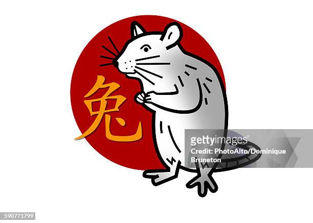 chinese zodiac sign for year of the rat - animal representation stock illustrations