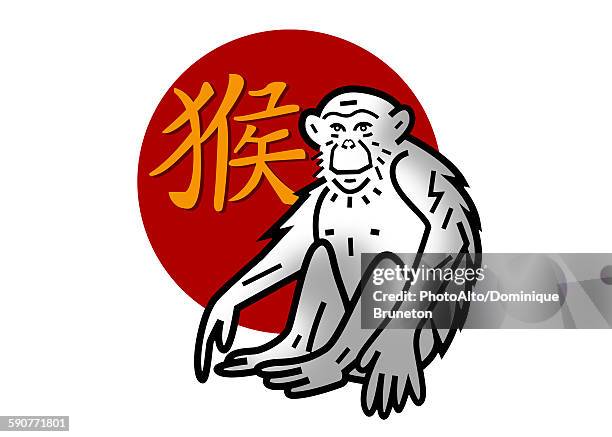 stockillustraties, clipart, cartoons en iconen met chinese zodiac sign for year of the monkey - aap