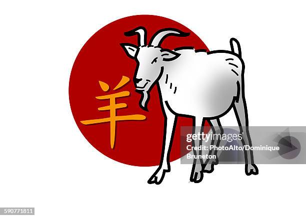 chinese zodiac sign for year of the goat - chinese zodiac animals stock illustrations