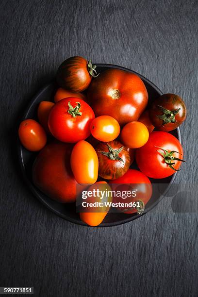 different tomatoes, zebrino, ebeno, devotion and yellow cherry tomatoes - schist stock-fotos und bilder