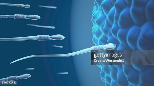 Front Inseem Natural Insemination Photos and Premium High Res Pictures - Getty Images