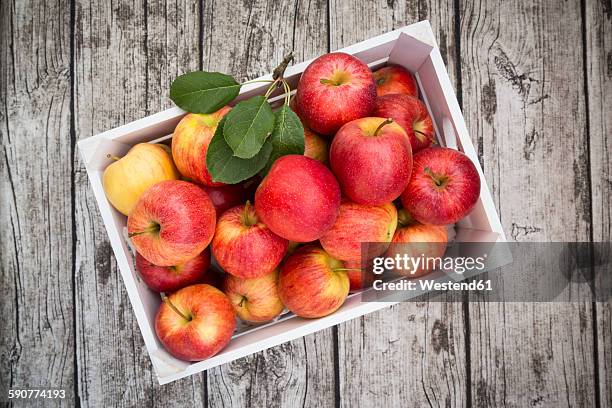 box of red apples on wood - gala apples stock pictures, royalty-free photos & images