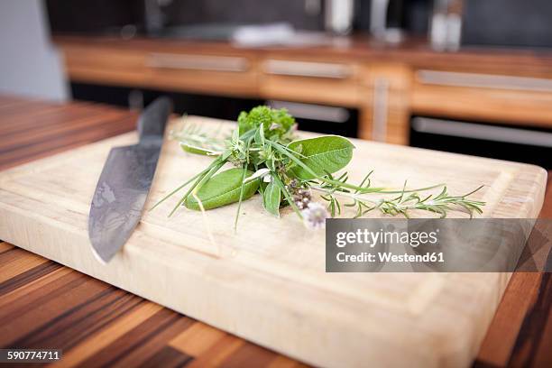 Different Spices And A Kitchen Knife On Chopping Board High-Res Stock Photo