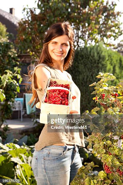 smiling woman offering red currants in a basket - rode bes stockfoto's en -beelden
