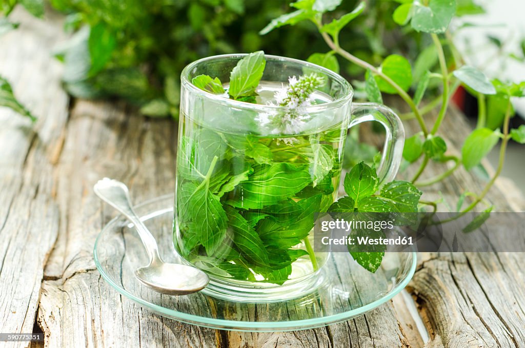 Glass of peppermint tea