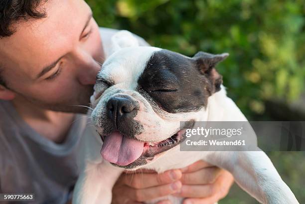 man kissing his french bulldog - 法國老虎狗 個照片及圖片檔