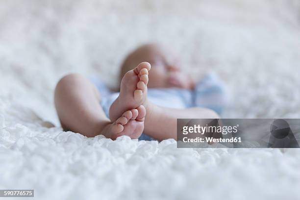 feet of newborn baby boy - little feet stock pictures, royalty-free photos & images