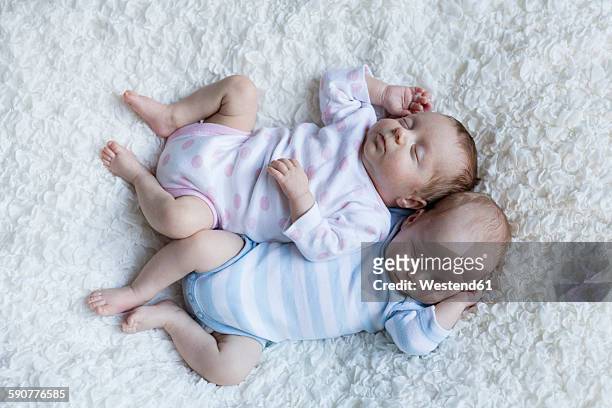 newborn twins sleeping side by side - twin fotografías e imágenes de stock