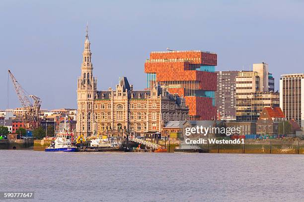 belgium, flanders, antwerp, cityview with museum aan de stroom, scheidt river - antwerpen stock pictures, royalty-free photos & images