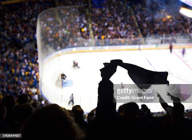 cheering a goal at ice hockey. - hockey su ghiaccio foto e immagini stock