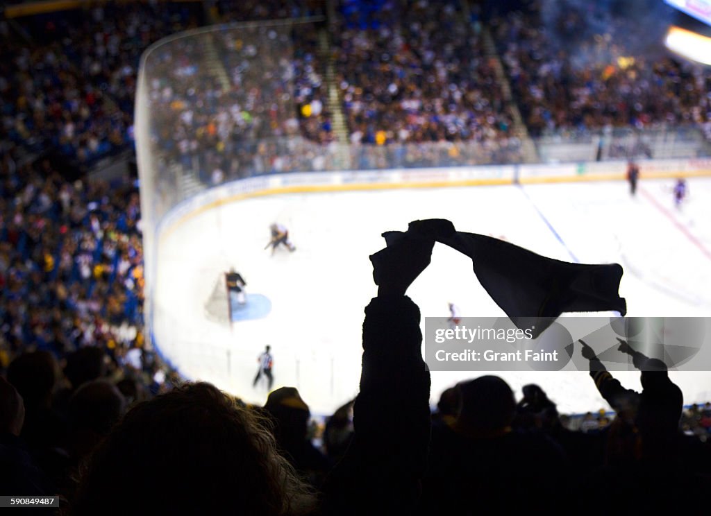 Cheering a goal at Ice hockey.