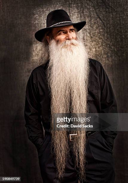 professional beard competitor - barba peluria del viso foto e immagini stock